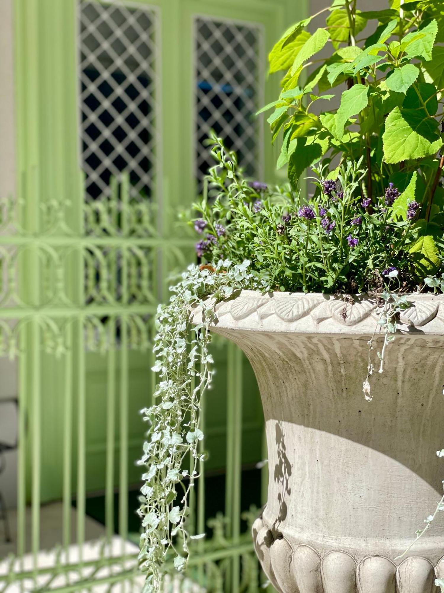 Villa Wickenburg 잘츠부르크 외부 사진
